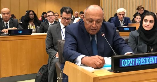 "شكرى" يؤكد ضرورة ضمان عدم زيادة أعباء الديون على البلدان المعرضة للخطر