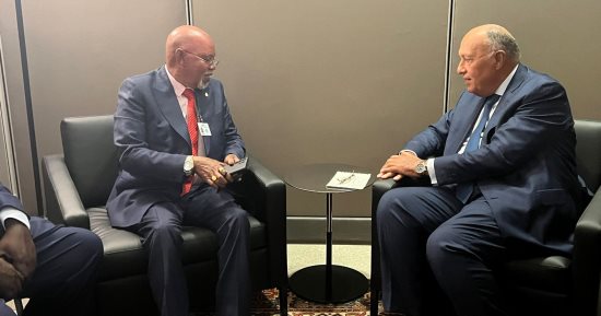 شكرى يستعرض مع وزير خارجية أوغندا مسار دول جوار السودان لحل الأزمة