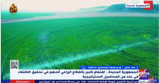 معهد المحاصيل الحقلية: الرئيس السيسى مهتم بالقطاع الزراعى للوصول للحد الآمن للأمن الغذائى