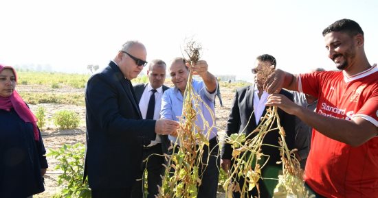 محافظ قنا يشهد حصاد محصول فول الصويا ضمن مشروع استصلاح ألف فدان.. صور