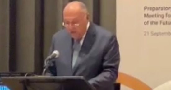 شكرى يؤكد أهمية تناول مفهوم التنمية وتحقيق السلم والأمن من منظور شامل