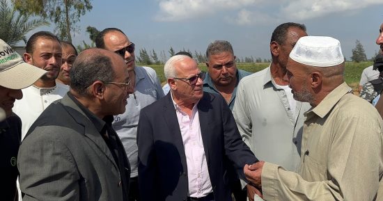 محافظ بورسعيد يشهد حصاد محصول الأرز بأراضى الجنوب.. صور 