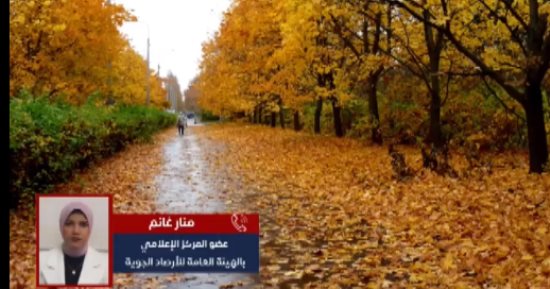الأرصاد الجوية تكشف لـ"تليفزيون اليوم السابع" تفاصيل حالة الطقس.. فيديو