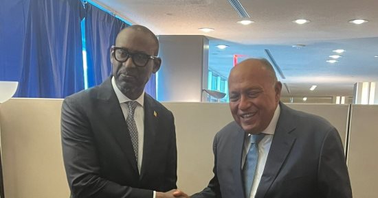 شكري ونظيره المالي يبحثان مستجدات الأوضاع السياسية والأمنية في غرب أفريقيا