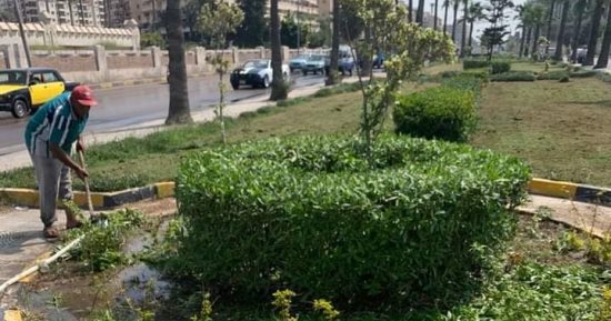 رفع كفاءة حدائق رعاية الطفل بحى المنتزه ضمن مبادرة 100 مليون شجرة.. صور