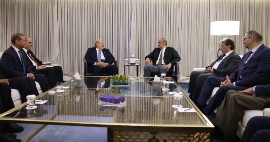 رئيس مجلس الشيوخ يلتقى رئيس الوزراء الأردنى