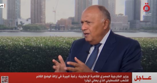 سامح شكري: مساعٍ حثيثة لإعادة القضية الفلسطينية إلى الساحة الدولية