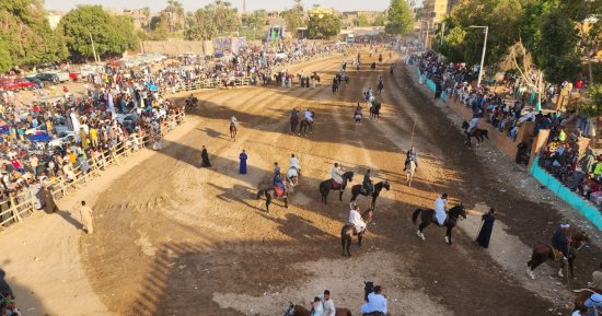 أهالى الأقصر يحتفلون بأيام المولد النبوى بأكبر تجمع لمرماح وسباقات الخيول.. فيديو