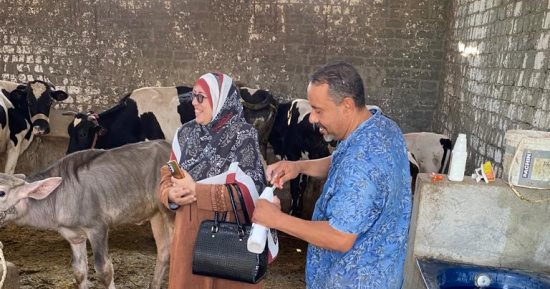 قوافل بيطرية علاجية ولقاءات توعوية بمراكز الجيزة ضمن "حياة كريمة".. صور