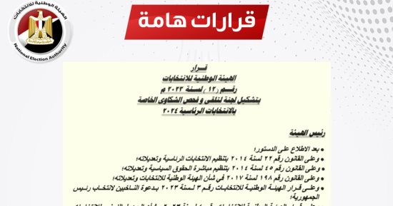 صفحة "الهيئة الوطنية" تنشر قرار تشكيل لجنة تلقى شكاوى الانتخابات الرئاسية