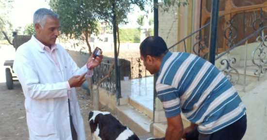 حياة كريمة بالشرقية.. جامعة الزقازيق توجه قافلة بيطرية لقرية الشبراوين بمركز ههيا
