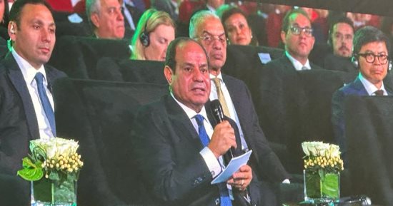 الرئيس السيسى: الدولة المصرية لديها رؤية لدعم القطاع الخاص