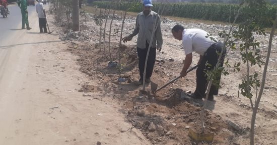 مدير شئون البيئة بالمنوفية: أنهينا المرحلة الأولى من مبادرة 100 مليون شجرة