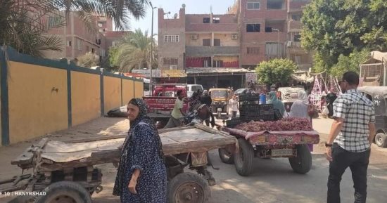 محافظة القاهرة تشن حملات لرفع الإشغالات بمحيط المدارس استعدادا للعام الجديد