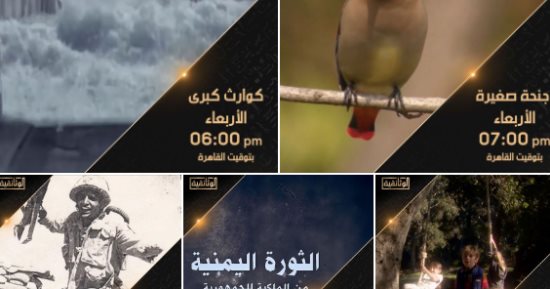 "من أرشيف الجبهة".. تعرف على خريطة أفلام القناة الوثائقية الليلة