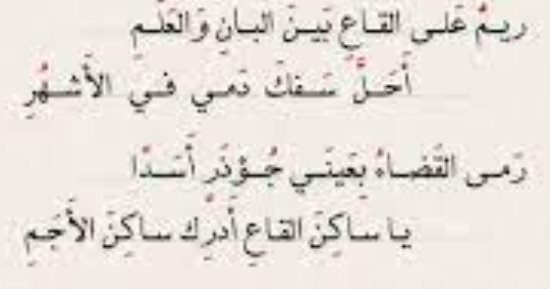 المولد النبوى.. لَزِمتُ باب أمير الأنبياء ومن يمسك بمفتاح باب اللَه يغتنم