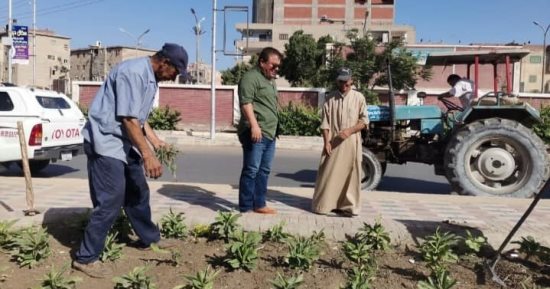 زراعة الأشجار بالميادين والرصيف بالإنترلوك وإزالة التعديات بكفر الشيخ