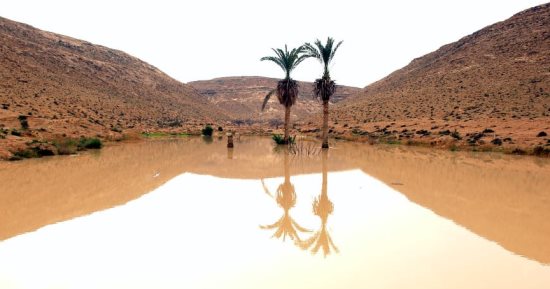 تفاصيل حصاد الأمطار في مطروح.. بناء السدود وحفر الآبار والخزانات لاستخدامها فى الزراعة.. تنمية واستصلاح الوديان والمساهمة فى توطين البدو والقضاء على البطالة.. أبرز زراعاتها التين والزيتون والبطيخ والقمح.. صور