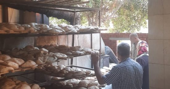 ضبط 3 أطنان دقيق فاخر و20 طن أسمدة زراعية مجهولة المصدر فى المنوفية