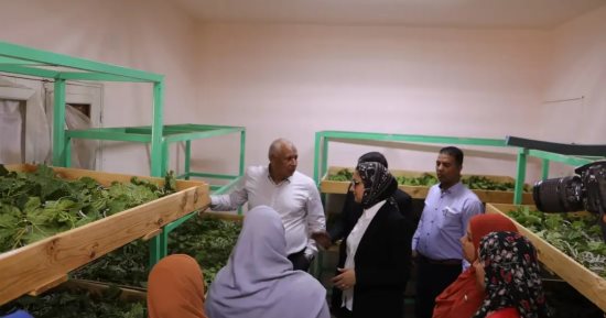 محافظ الوادى الجديد يتفقد مشروعي "الصوب الزراعية" و"إنتاج الحرير" شمال الخارجة