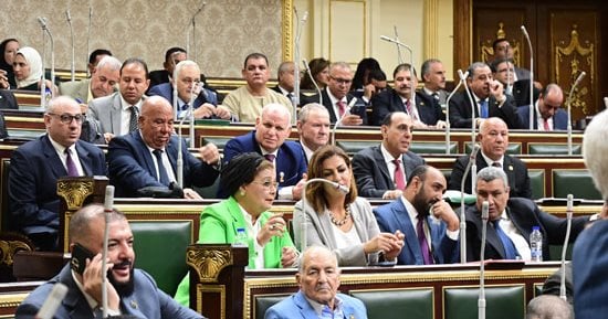 عضو "حقوق إنسان النواب": نرفض التدخل فى الشئون الداخلية والاستقواء بالخارج