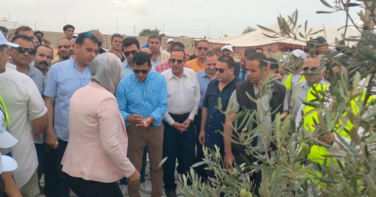 مارثون للمشى على هامش  افتتاح مهرجان سيناء الأول للزيتون فى سيناء