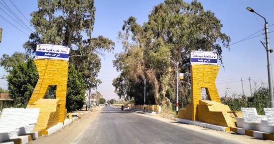 مداخل الأحياء والقرى تتجمل مع مبادرة حياة كريمة بالمنيا.. صور