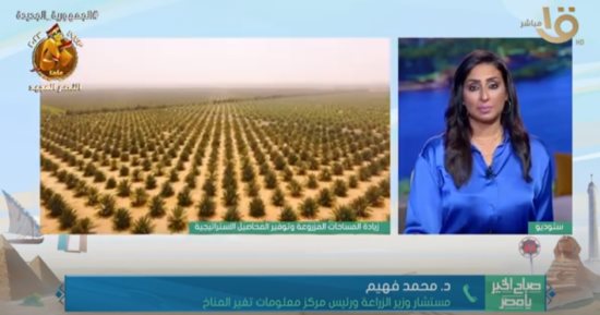مستشار وزير الزراعة: "الدولة نحتت فى الصخر علشان تضيف 1.7 مليون فدان"