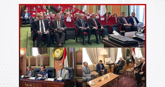 رئيس الهيئة الوطنية يبحث مع وزير الخارجية دور البعثات فى تصويت مصريى الخارج