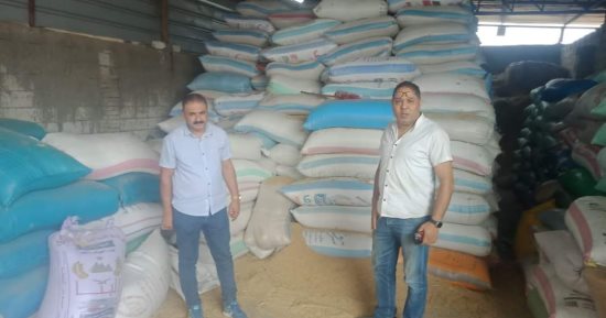 التحفظ على 200 علبة سجائر و14 مخالفة متنوعة فى حملات رقابية بالدقهلية