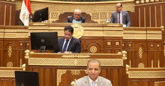 محمد هيبة رئيسا لـ"حقوق الإنسان بالشيوخ".. ورشا نصير أمينا للسر
