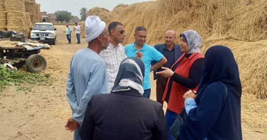 حملات ميدانية لوزارة البيئة تتفقد مواقع قش الأرز بالبحيرة والدقهلية والقليوبية