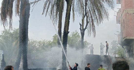 السيطرة على حريق بمنزل وبعض أشجار النخيل بساقلته سوهاج دون إصابات.. صور