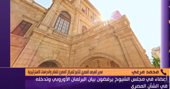خبير بالمركز المصرى للفكر والدراسات: بيان البرلمان الأوروبى يفتقد للموضوعية