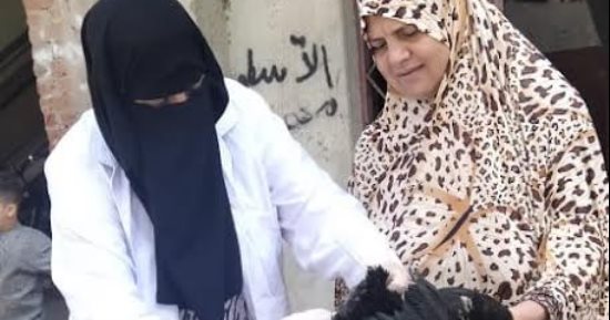 تحصين 30 ألفا و230 طائرا من الأمراض الوبائية وإنفلونزا الطيور بكفر الشيخ