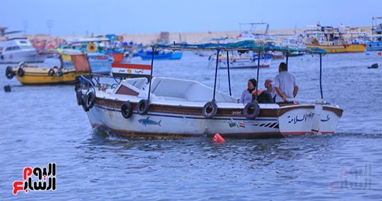 "يا اسكندرية بحرك عجايب".. سحر الغروب على عروس البحر المتوسط
