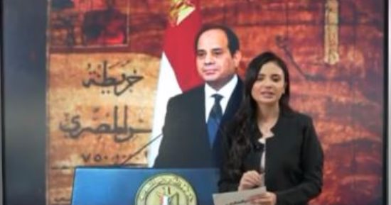 أرقام هامة من حملة المرشح الرئاسي عبد الفتاح السيسى.. فيديو