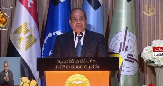 الرئيس السيسى: نعمل مع الأشقاء فى الدول العربية لحل الأزمة الفلسطينية