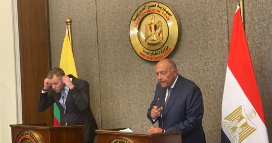 وزير الخارجية يؤكد ضرورة خفض التصعيد الراهن فى قطاع غزة