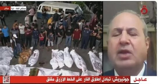 محلل سياسي للقاهرة الإخبارية: ما يجري في فلسطين ما هو إلا غطاء أمريكي لإسرائيل
