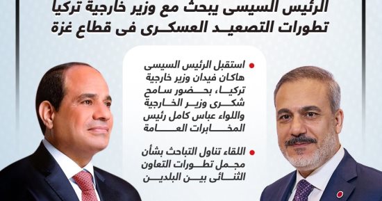 الرئيس السيسى يبحث مع وزير خارجية تركيا تطورات التصعيد العسكرى بقطاع غزة.. إنفوجراف