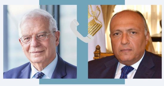 وزير الخارجية يؤكد ضرورة الوقف الفورى للقصف وأية عمليات عسكرية برية فى غزة