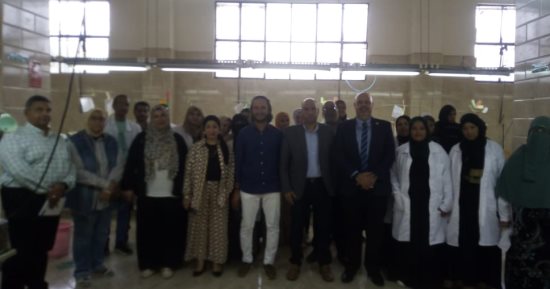 وزارة العمل: جولة ميدانية لمتابعة خدمات مكتب تراخيص عمل الأجانب بالإسماعيلية
