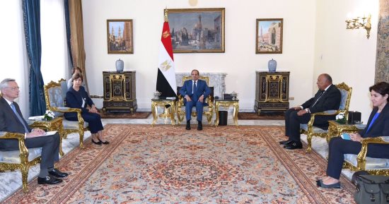 الرئيس السيسى لوزيرة خارجية فرنسا: يجب تحمل المجتمع الدولى مسئولياته بتوفير الاستجابة الإنسانية والإغاثية العاجلة لأهالى قطاع غزة.. ونرفض تعريض المدنيين لسياسات العقاب الجماعى من حصار وتجويع أو تهجير