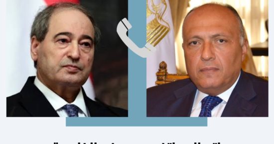 وزير الخارجية: وصول المساعدات الإنسانية للفلسطينيين فى غزة ضرورة لا غنى عنها