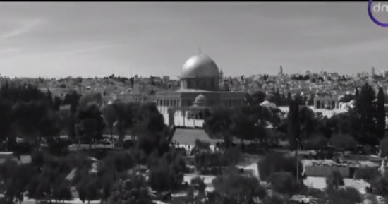 دى إم سى تعرض الفيلم الوثائقى "هنا فلسطين من القاهرة".. يرصد مواقف الرئيس السيسي فى دعم القضية الفلسطينية.. ويستعرض دور القاهرة فى دعم الأشقاء.. ويؤكد: المواقف الرمادية لم تكن يوما جزءا من سياسة مصر