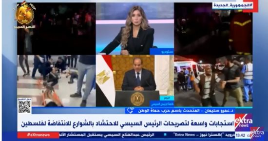 حزب حماة الوطن: المصريون يساندون الرئيس السيسي فى موقفه من قضية فلسطين