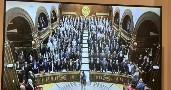 مجلس الشيوخ يقف دقيقة حدادا على أرواح شهداء الشعب الفلسطينى