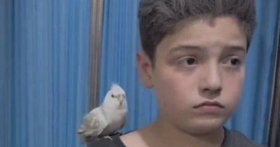 لم يتخل عن أليفه.. فكيف يتخلى عن أرضه؟ أطفال فلسطين يحتضنون حيواناتهم وسط القصف
