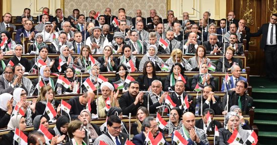 النائب أحمد فرغلى: ندعم الدولة فى موقفها تجاه القضية الفلسطينية